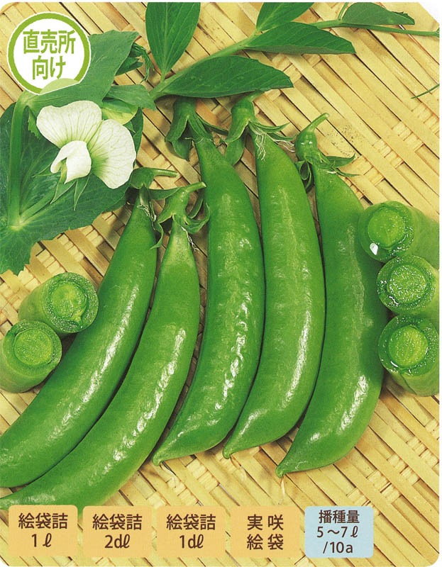 サカタのタネ エンドウ種子 スナック753(つるあり)【取り寄せ注文