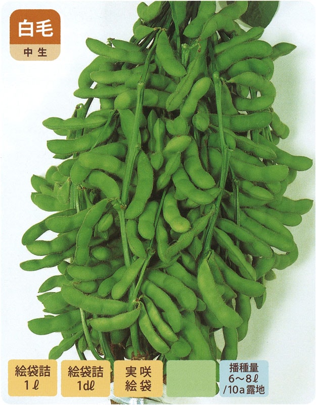サカタのタネ エダマメ種子 夕涼み【取り寄せ注文】 ※春のみの商品
