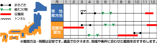 ねぎ姉さん10^3 小林銅蟲 saihate-001.jpg?impolicy=lt&
