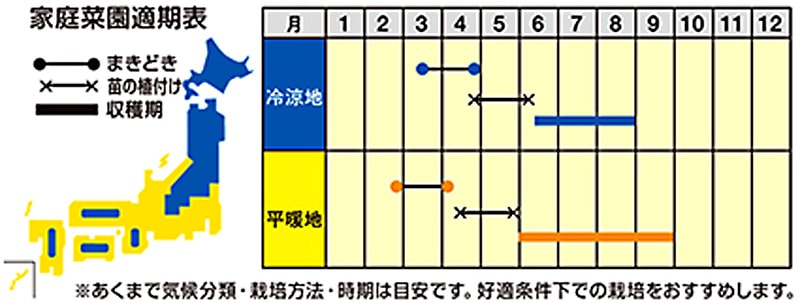 ナント種苗 ミニトマト種子 そのまんまdeミニトマト(マンマミーア