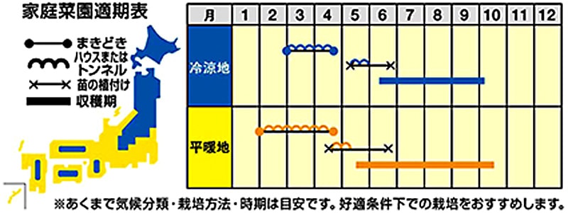 ナント種苗 トウガラシ種子 激辛番長とうがらし【取り寄せ注文