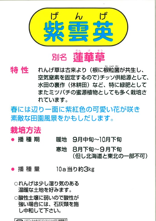 24年　れんげ種子　5kg レンゲ種子 10kg 送料無料 緑肥の種【9月上旬再入荷予定