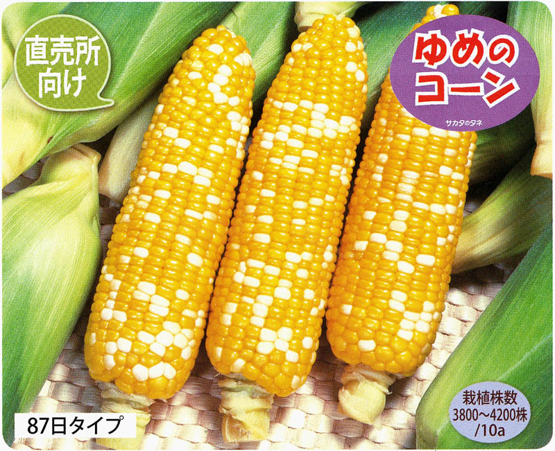 サカタのタネ スイートコーン種子 ゆめのコーン 果菜類 とうもろこし 小林種苗株式会社 サカタのタネ スイートコーン種子 ゆめのコーン 果菜類 とうもろこし 小林種苗株式会社