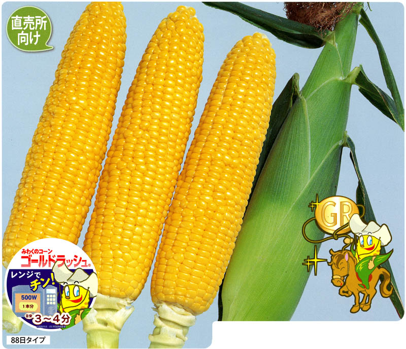 サカタのタネ スイートコーン種子 ゴールドラッシュ88【取り寄せ注文