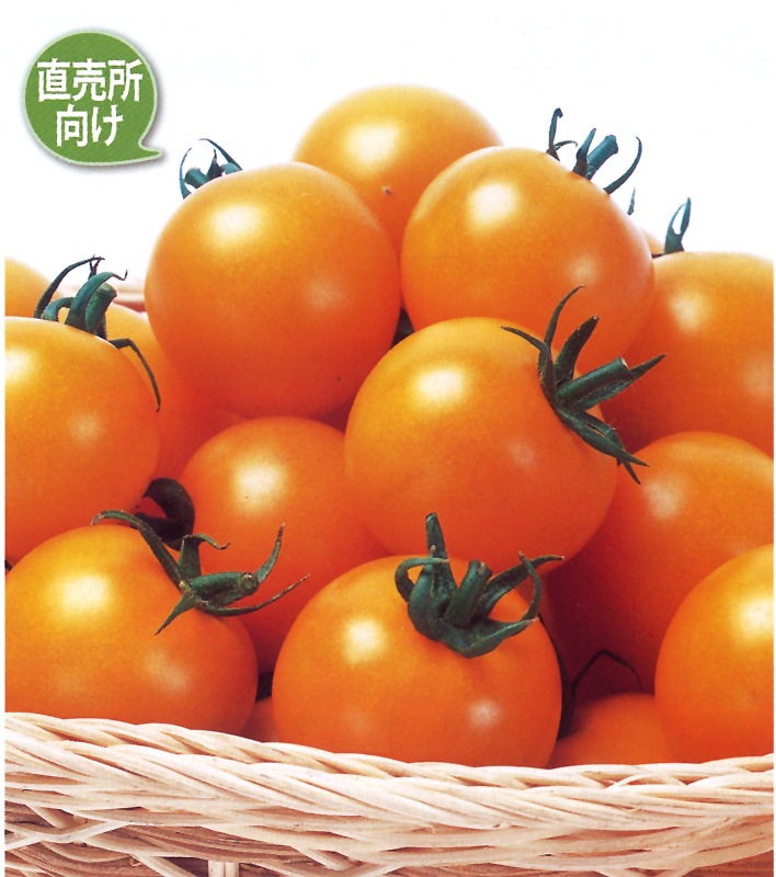 トマト型置物 オレンジ色 トマト型置物 オレンジ色 楽天市場】オブジェ トマト インテリア