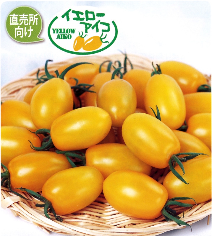ミニイカタコ　02 サカタのタネ ミニトマト種子 イエローアイコ[920105]【取り寄せ注文