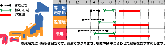 ナス様確認ページ サカタのタネ ナス種子 中長なす 実咲小袋[920271]【取り寄せ注文】※春