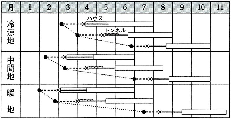 キュウリ 種<br> 『つや太郎』 ACU045 タキイ種苗/350粒 キュウリ ダイヤ交配　パリQ　15粒