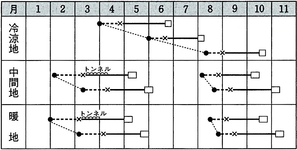 タキイ種苗 レタス種苗 サウザー[ALE136]【取り寄せ注文】 | 小林種苗