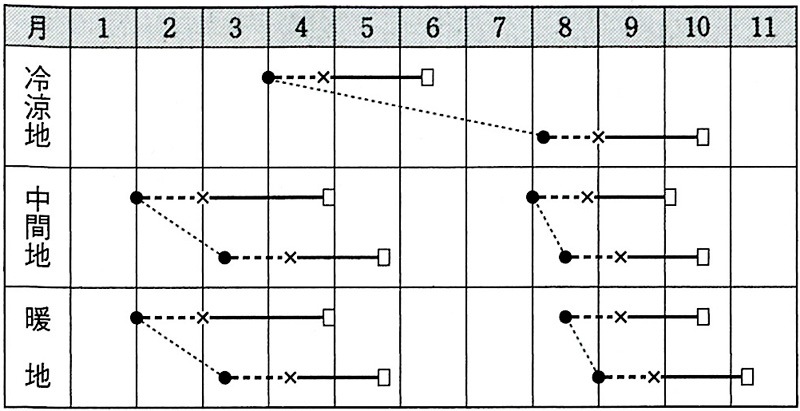 タキイ レタス サマールージュ リーフレタス Ale146 葉菜類 レタス 小林種苗株式会社