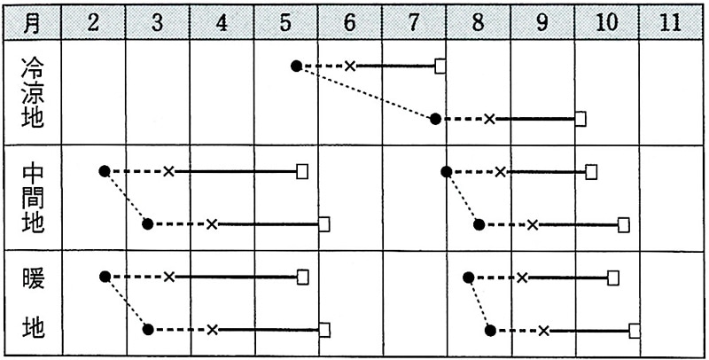 タキイ種苗 レタス種子 サーマルスター L5千粒[ALE143]【取り寄せ注文