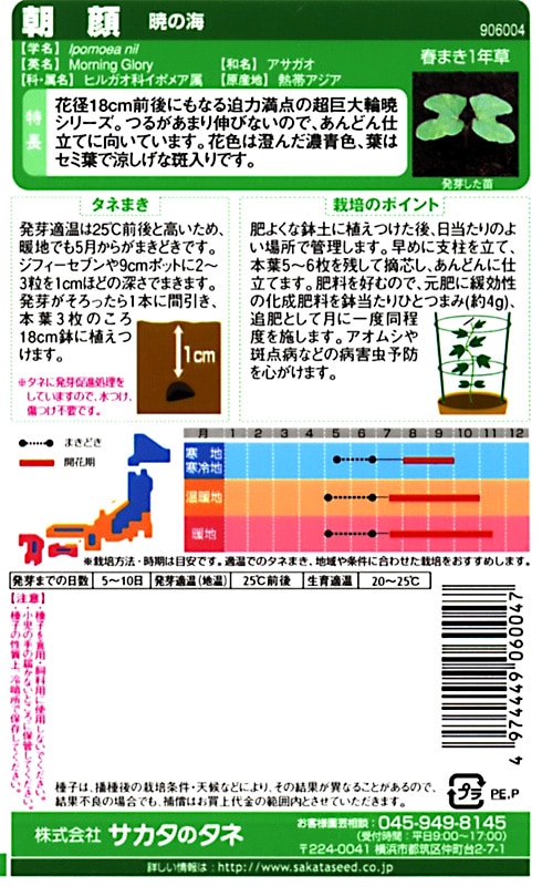 サカタのタネ 実咲250 朝顔 暁の海 小袋[906004]【取り寄せ注文】※春