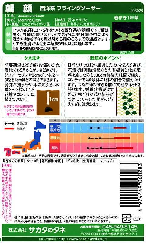 サカタのタネ 実咲250 朝顔 西洋系 フライングソーサー 小袋[906028