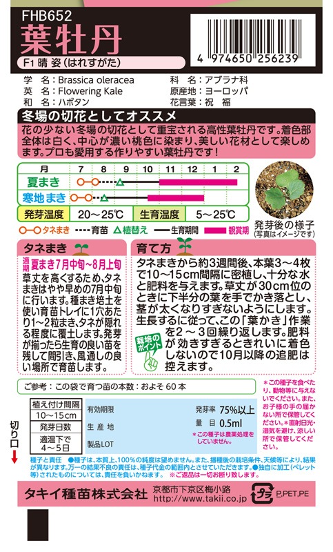 タキイ NL300 葉牡丹 F1晴姿 小袋[FHB652]【取り寄せ注文】※秋のみ商品