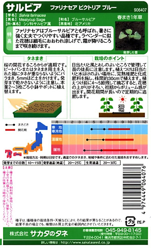 サカタのタネ 実咲250 サルビア ファリナセア ビクトリアブルー 小袋