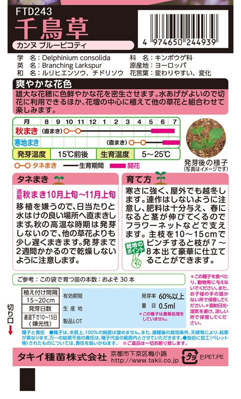 チドリソウの抜き苗　10本＋おまけ♪ 千鳥草　月曜日発送 チドリソウの抜き苗10本＋おまけ♪ 千鳥草月曜日発送