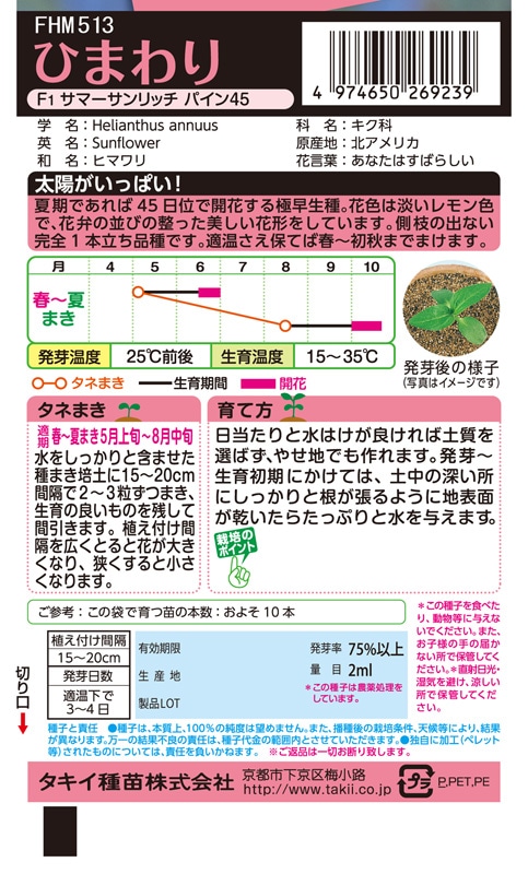 ひまわりさん専用 Smile Sunflower Floral Container - 聖新陶芸株式会社｜栽培キットの