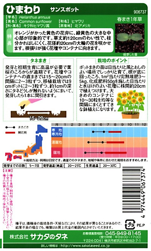サカタのタネ 実咲250 ひまわり サンスポット 小袋[906737]【取り寄せ