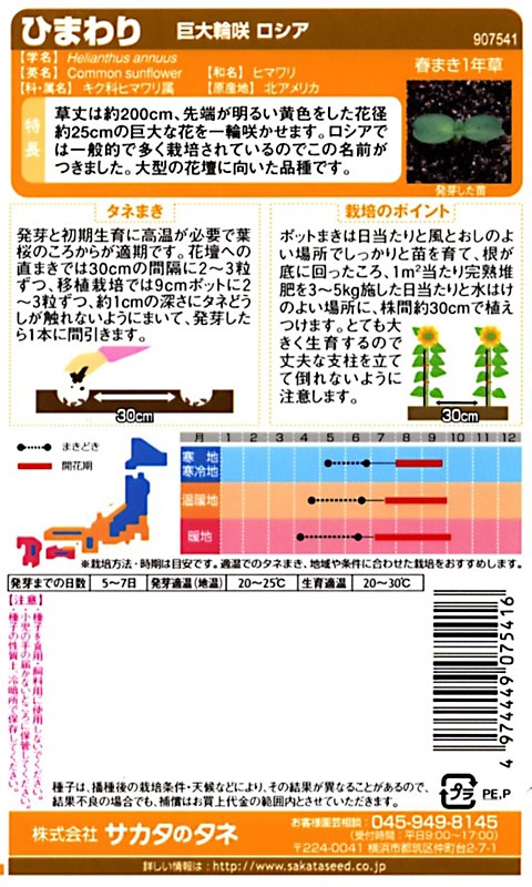 サカタのタネ 実咲200 ひまわり 巨大輪咲 ロシア 小袋[907541