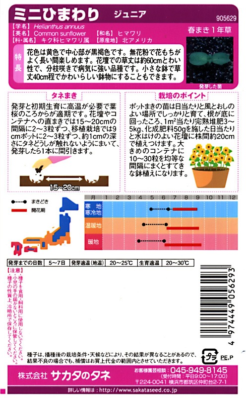 サカタのタネ 実咲350 ミニひまわり ジュニア 小袋[905629]【取り寄せ