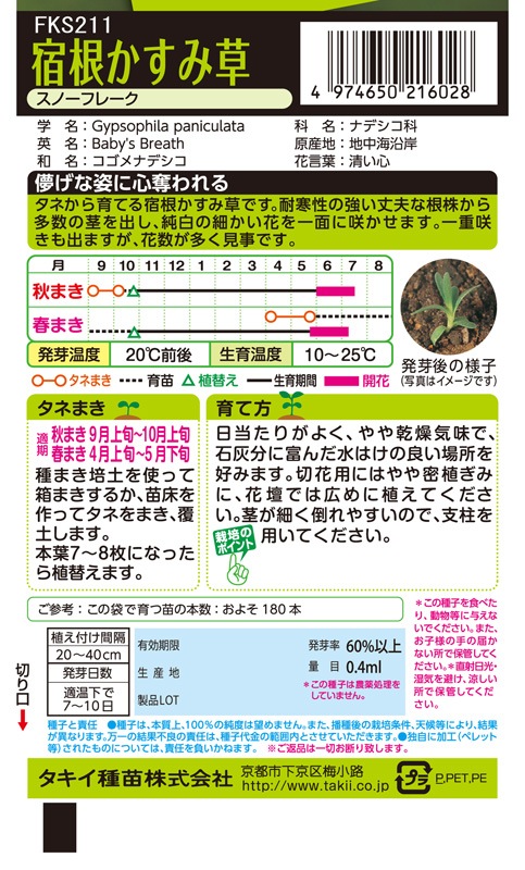 タキイ NL200 宿根かすみ草 スノーフレーク 小袋[FKS211]【取り寄せ