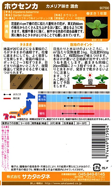 サカタ 実咲150 ホウセンカ カメリア咲き 混合 小袋 草花種子 小袋 ほうせんか 小林種苗株式会社