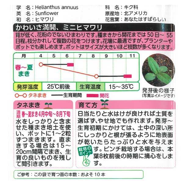 タキイ種苗 NL300 ひまわり F1スマイルラッシュ 小袋[FHM413