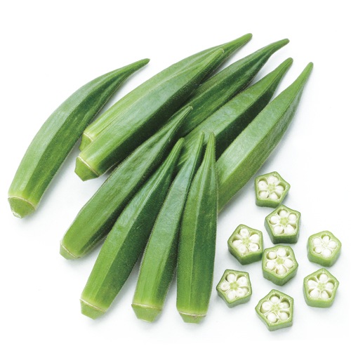 おらいさん　原種　緑札　希少　ザラゴーザspノバ おらいさん 原種 緑札 希少 ザラゴーザspノバ