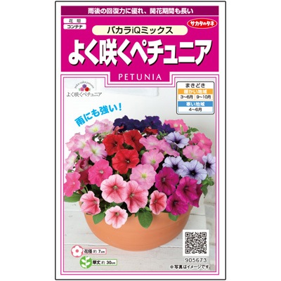 n*1様 3495☘️蕾花タグ付☘️SD⭐️トルカータスボスニアHYB⭐️￼超小 サカタのタネ 実咲350 よく咲くペチュニアバカラIQ ミックス 小袋