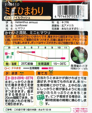 タキイ種苗 NL徳用 ミニひまわり F1スマイルラッシュ ひまわり種子小袋