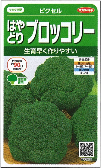 サカタのタネ ブロッコリー種子 ピクセル【取り寄せ注文】※通年商品