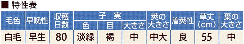 サカタ エダマメ おつな姫 Pvp 22春品切 果菜類 豆類 枝豆 小林種苗株式会社