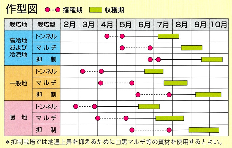 サカタのタネ スイートコーン種子 ゴールドラッシュ90【取り寄せ注文