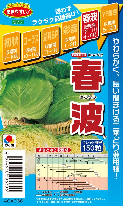 タキイ種苗 キャベツ種子 春波[ACA066]【取り寄せ注文】＊種子有効期限