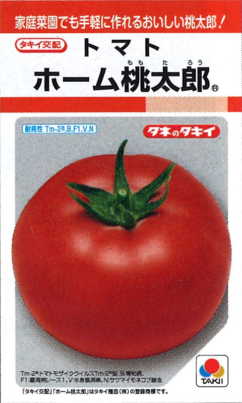 糖度9度基準『スーパーフルーツトマト』茨城県産 約800g（7〜16