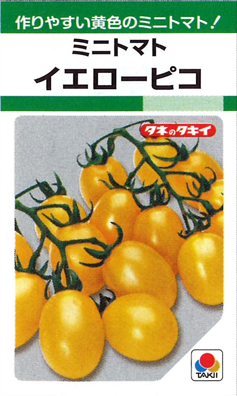 タキイ種苗 ミニトマト種子 イエローピコ[ATM157]【取り寄せ注文】※春