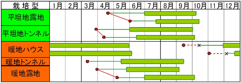 小林種苗 オクラ種子 いなみどり ＊種子有効期限2026年10月末 | 小林