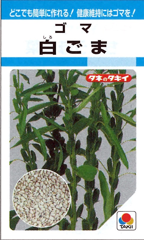 タキイ種苗 ゴマ種子 白ごま[ATY121]【取り寄せ注文】※春のみ商品