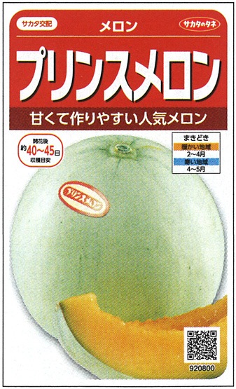 サカタのタネ メロン種子 プリンスメロン【取り寄せ注文】※春