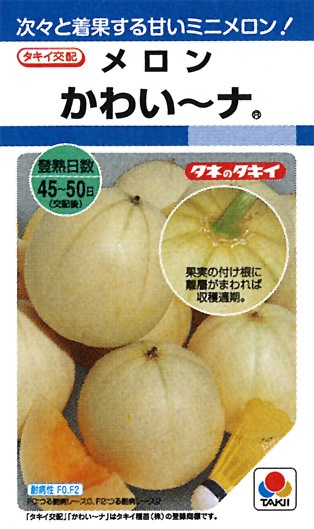 タキイ メロン かわい ナ Ama011 果菜類 瓜類 メロン 冷涼地向けメロン 小林種苗株式会社