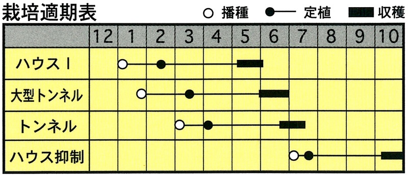 ナント種苗 メロン種子 ヤング【取り寄せ注文】※低発芽のため20％増量