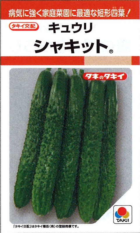 タキイ種苗 キュウリ種子 シャキット[ACU050]【取り寄せ注文】【2026