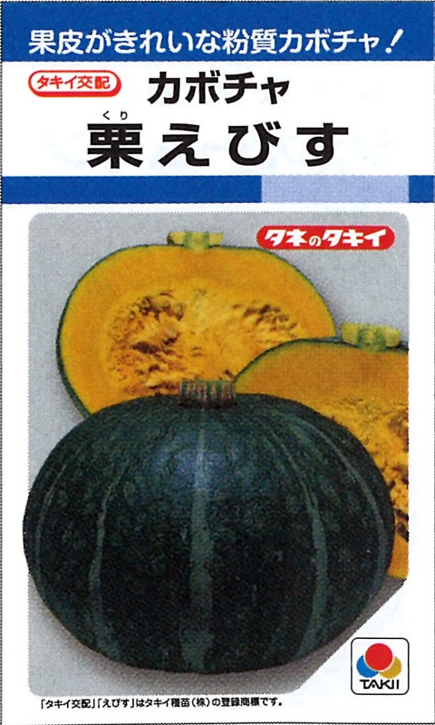タキイ種苗 カボチャ種子 栗えびす[ANK089]【取り寄せ注文】※春のみ