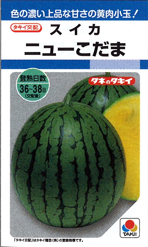 タキイ種苗 スイカ種子 ニューこだま[ASU002]【取り寄せ注文】【2026