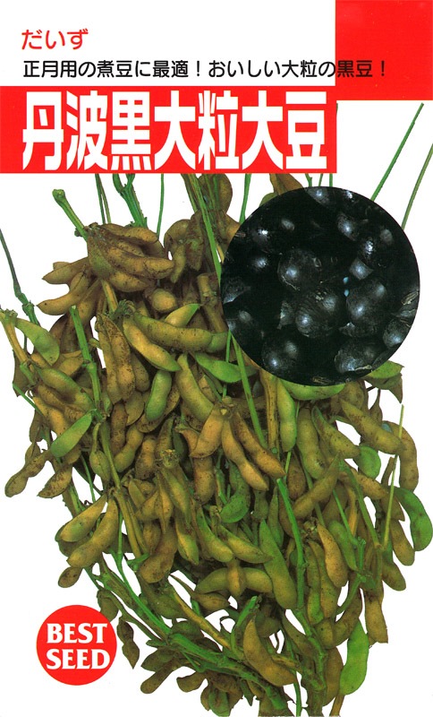 丹波黒豆の種 黒豆エダマメ （晩生種） 種 『丹波黒大粒大豆』 AOB161 タキイ