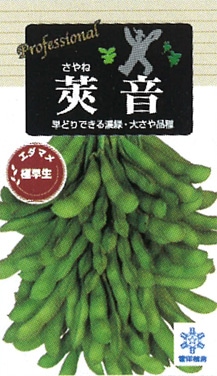 雪印種苗 エダマメ種子 莢音【取り寄せ注文】 | 小林種苗公式通販
