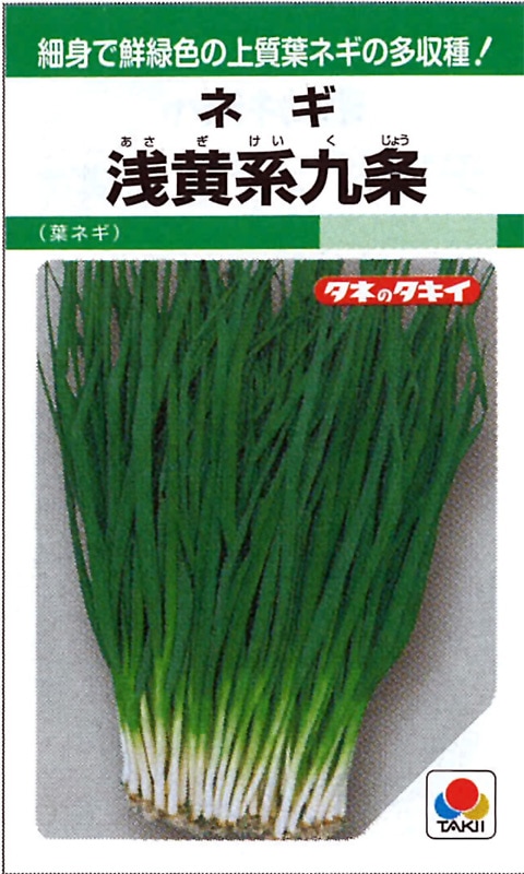 タキイ種苗 ネギ種子 浅黄系九条葱[ANE102]【取り寄せ注文】※2026春