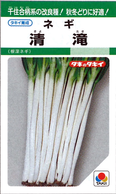 タキイ種苗 ネギ種子 清滝葱[ANE213]【取り寄せ注文】 | 小林種苗公式通販