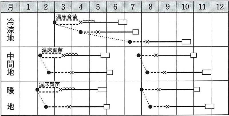 タキイ種苗 ブロッコリー種子 トップギア[ABR013]【取り寄せ注文