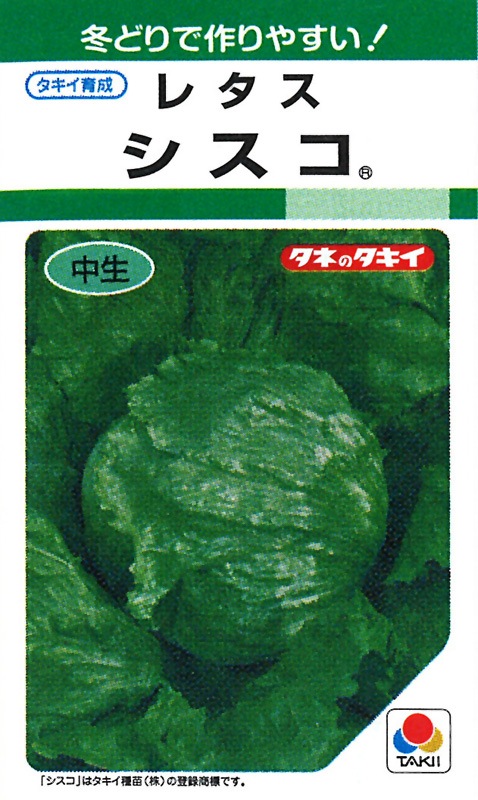 タキイ種苗 レタス種子 シスコ[ALE118]【取り寄せ注文】＊種子有効期限